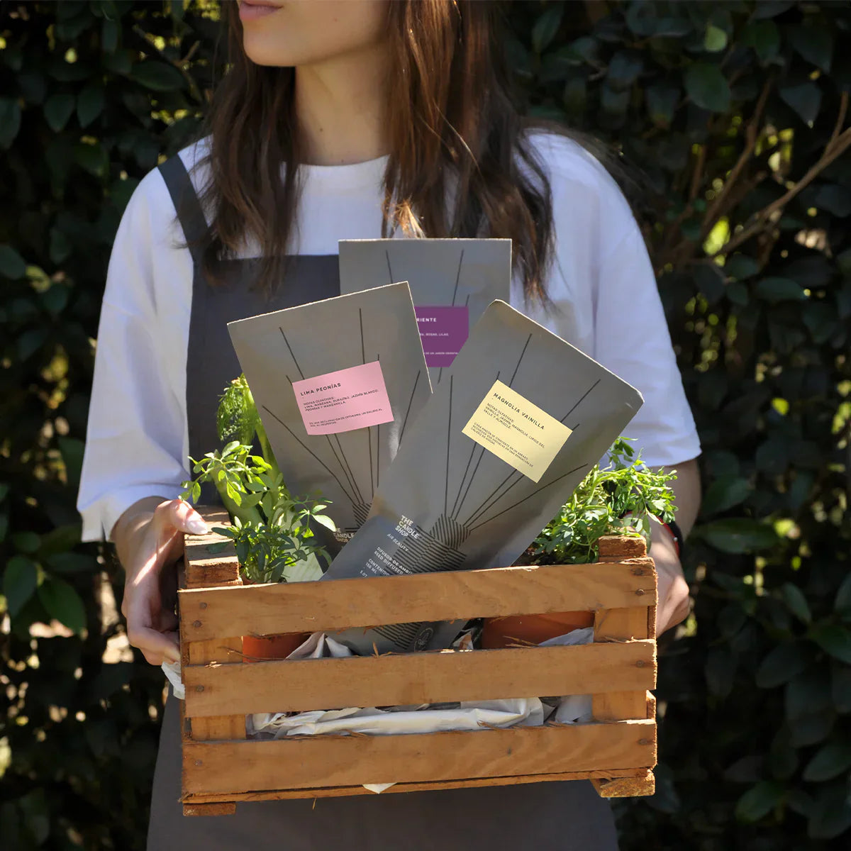 MIKADO BASIC COMPOST